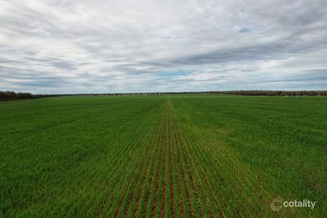 4719 Tabratong Crossing Rd, Tottenham, NSW 2873