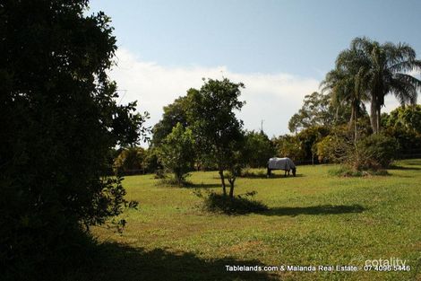 Property photo of 169 Lakes Drive Lake Eacham QLD 4884