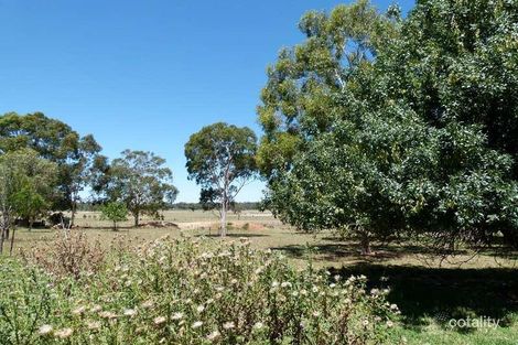 Property photo of 8 Brahman Street Forbes NSW 2871