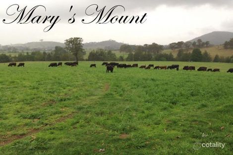 910 Summer Hill Rd, Summer Hill, NSW 2421