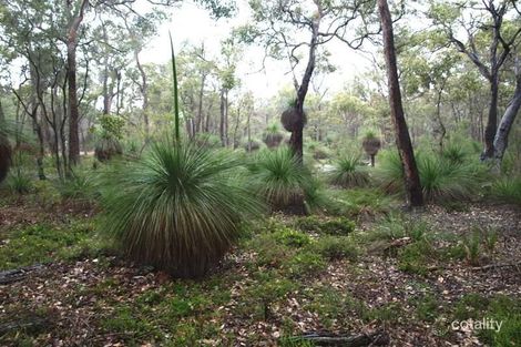 Property photo of 97 Glover Road Yallingup Siding WA 6282