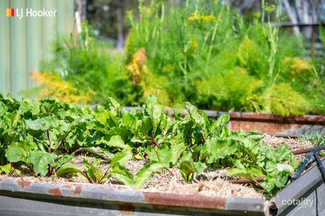 47 Watt Rd, Falls Creek, NSW 2540