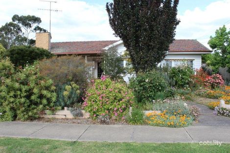 62 George St, Hamilton, VIC 3300