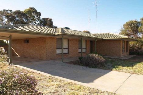 15 Seventh St, Morgan, SA 5320
