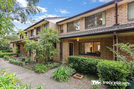 Property photo of 3/114-118 Crimea Road Marsfield NSW 2122