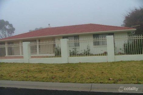 12 Holloway St, Armidale, NSW 2350