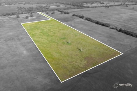 Property photo of 221 Pethericks Road Goornong VIC 3557