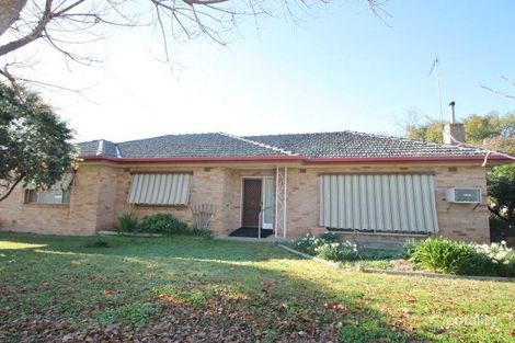 Property photo of 13 Alexander Street Ashmont NSW 2650