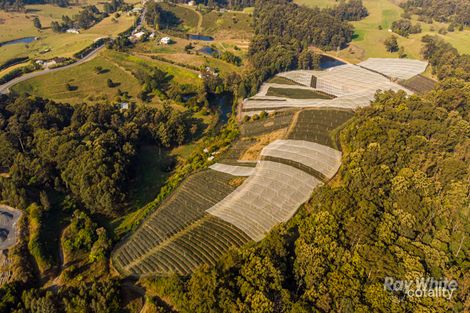 351 North Boambee Rd, North Boambee Valley, NSW 2450