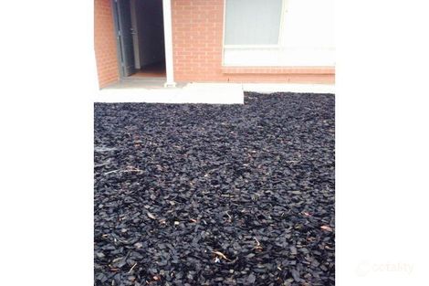 Property photo of 11 Westminster Drive Elizabeth Park SA 5113