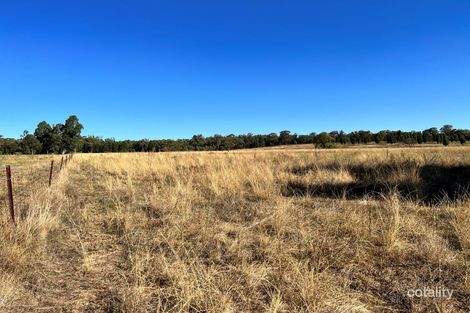 501 Elong Elong Rd, Elong Elong, NSW 2831