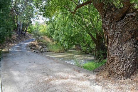 Property photo of 386E One Tree Hill Road Gould Creek SA 5114