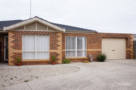 3/55 Haugh St, Lovely Banks, VIC 3213