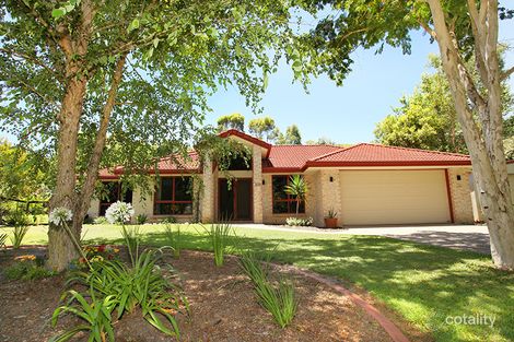 Property photo of 269 Diddillibah Road Diddillibah QLD 4559