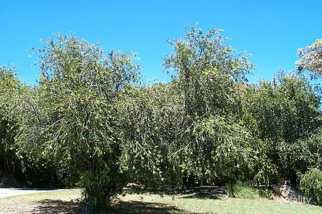 15 Macao Rd, High Wycombe, WA 6057