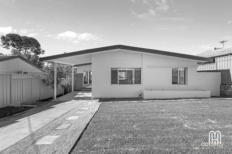 Property photo of 146 Woodside Street Doubleview WA 6018