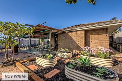 36 Dampier Loop, Mirrabooka, WA 6061
