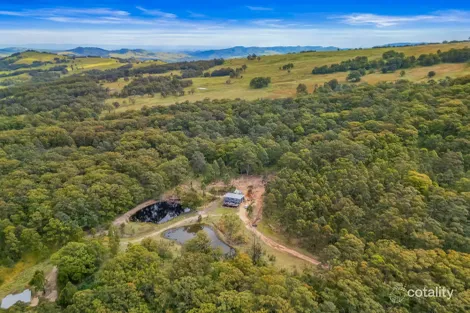 817 Goorangoola Creek Rd, Goorangoola, NSW 2330