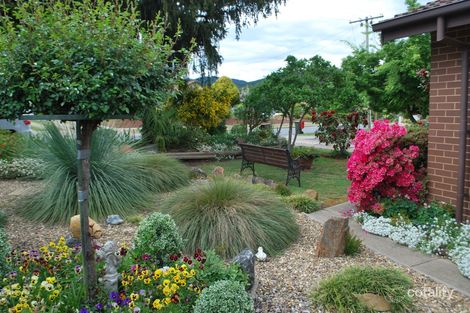 Property photo of 9 Woodside Court Myrtleford VIC 3737