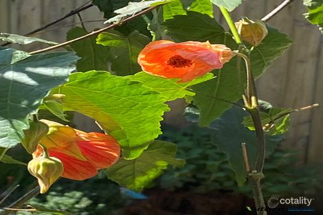 Property photo of 7 North Road Warragul VIC 3820