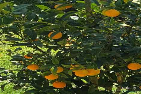 Property photo of 7 North Road Warragul VIC 3820