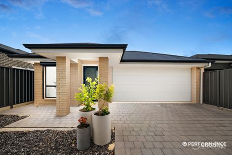 18 Bieg St, Croydon Park, SA 5008