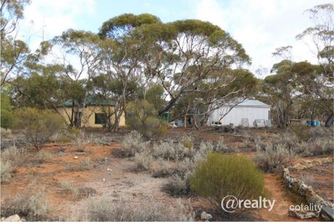 99 Hodge Rd, Cadell, SA 5321