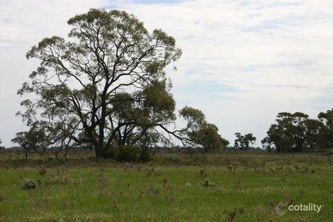 Property photo of 184 Bailey Road Tresco VIC 3583