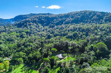 Property photo of 400 Upper Wilsons Creek Road Upper Wilsons Creek NSW 2482