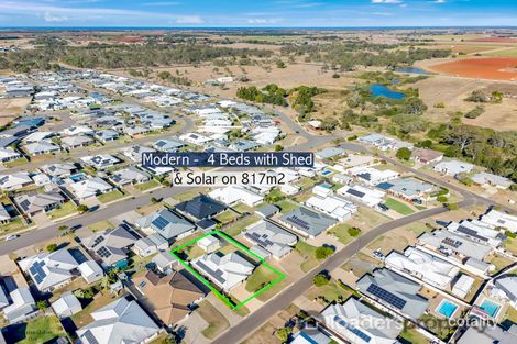 Property photo of 12 Wedgeleaf Place Ashfield QLD 4670