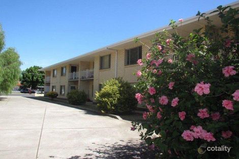 7/231 Anzac Hwy, Plympton, SA 5038
