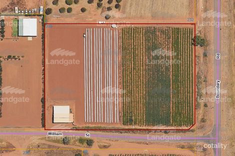 Property photo of 239 William Street East Carnarvon WA 6701