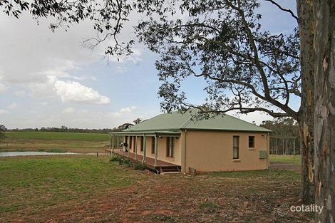 65 Squire Cl, Belford, NSW 2335