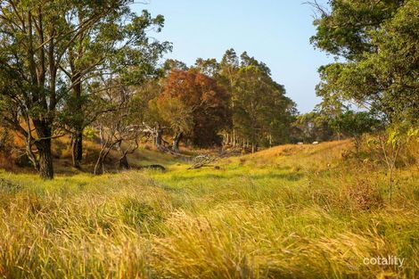 Property photo of 304 Heaton Road Quorrobolong NSW 2325