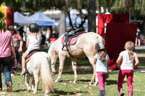 3/25 Guilfoyle Ave, Double Bay, NSW 2028