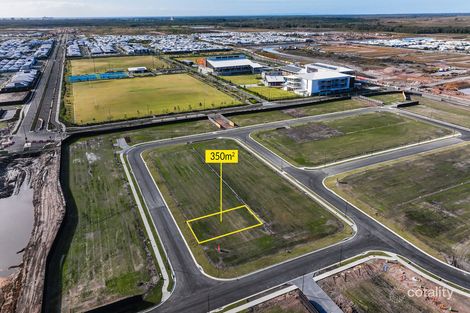 Property photo of 41 Burrum Crescent Nirimba QLD 4551