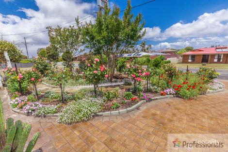 Property photo of 24 Wattle Crescent Manjimup WA 6258