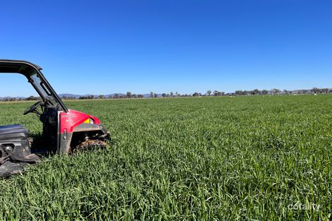 393 Settlement Bridge Rd, Canowindra, NSW 2804