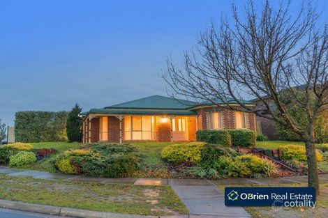 Property photo of 19 Streeton Way Berwick VIC 3806