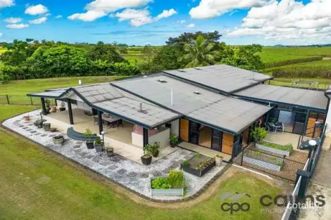 Property photo of 19 Backhaus Street Mighell QLD 4860