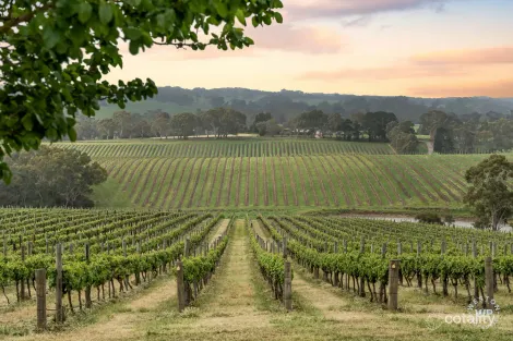 127 Quinns Rd, Forreston, SA 5233