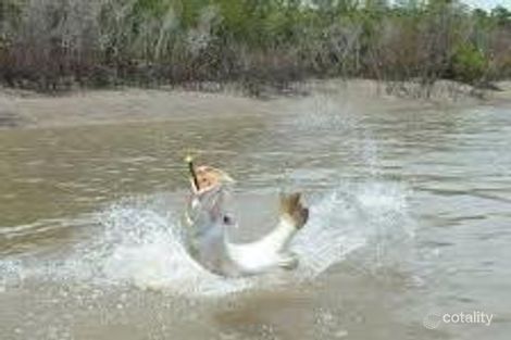 Property photo of 24 Fielding Street Karumba QLD 4891