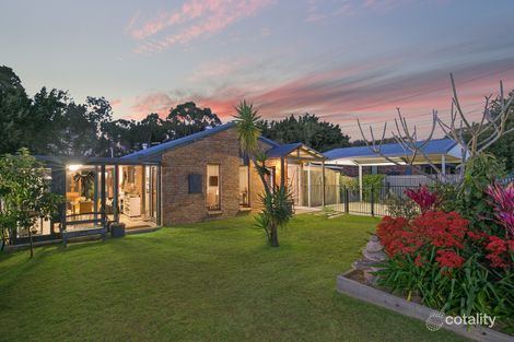53 Lobelia Ave, Daisy Hill, QLD 4127