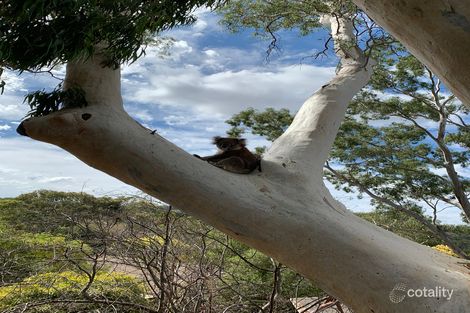 2 The Parkway, Blackwood, SA 5051