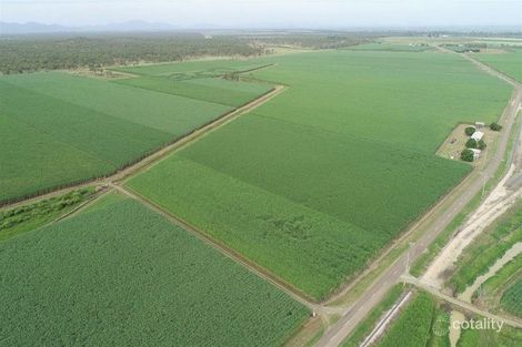 Property photo of 1421 Kirknie Road Osborne QLD 4806