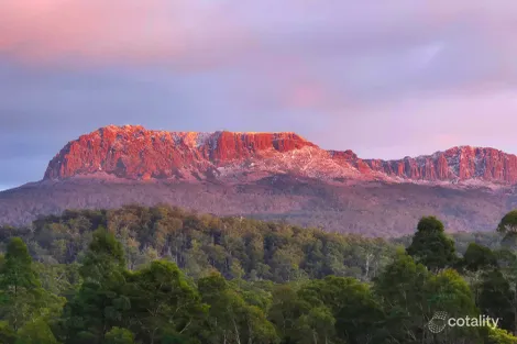 8 Walter St, Rossarden, TAS 7213