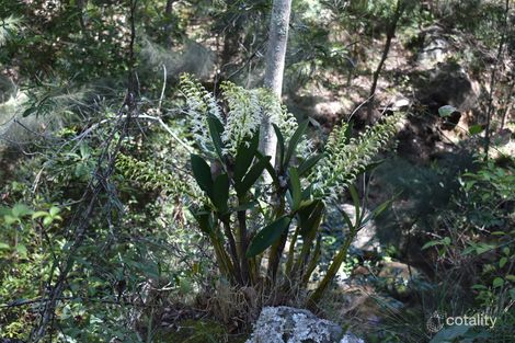 Property photo of 2066 Murphys Creek Road Ballard QLD 4352