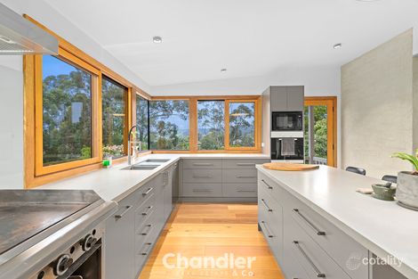 Property photo of 32 Moores Road Monbulk VIC 3793