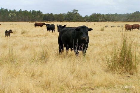 66 Sim Rd, Manypeaks, WA 6328