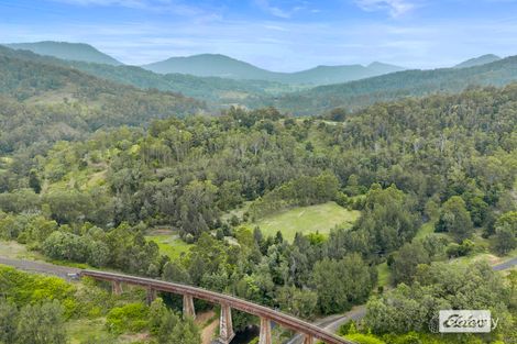 Property photo of 1 Gradys Creek Road Cougal NSW 2474